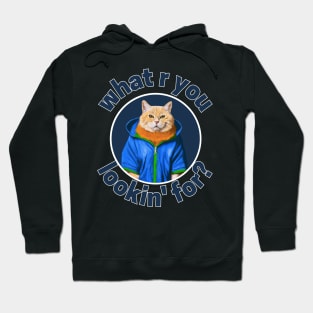 cat wearing blue jacket with what are you looking for sentences Hoodie